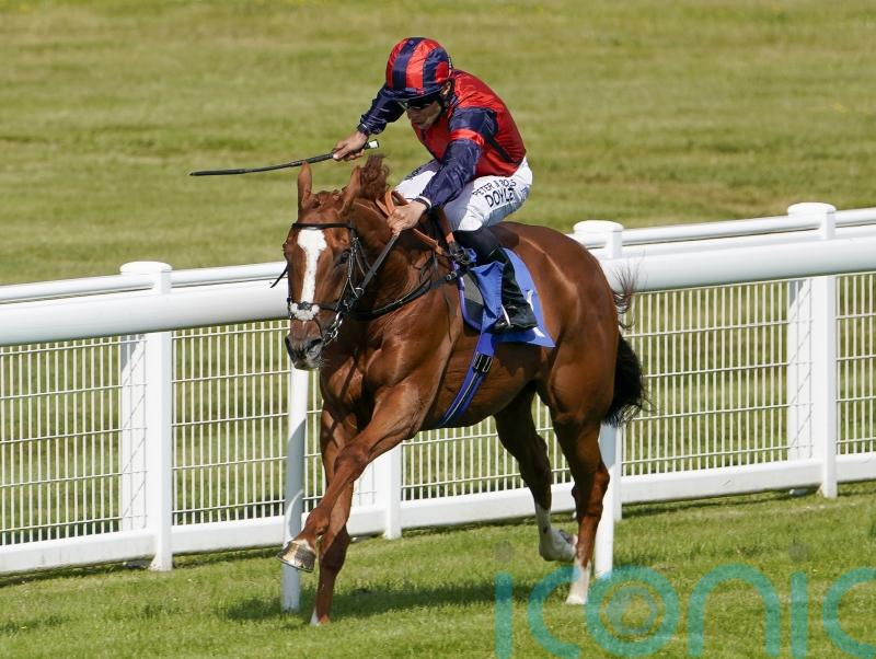 Nuits St Georges joins De Bromhead for hurdles career