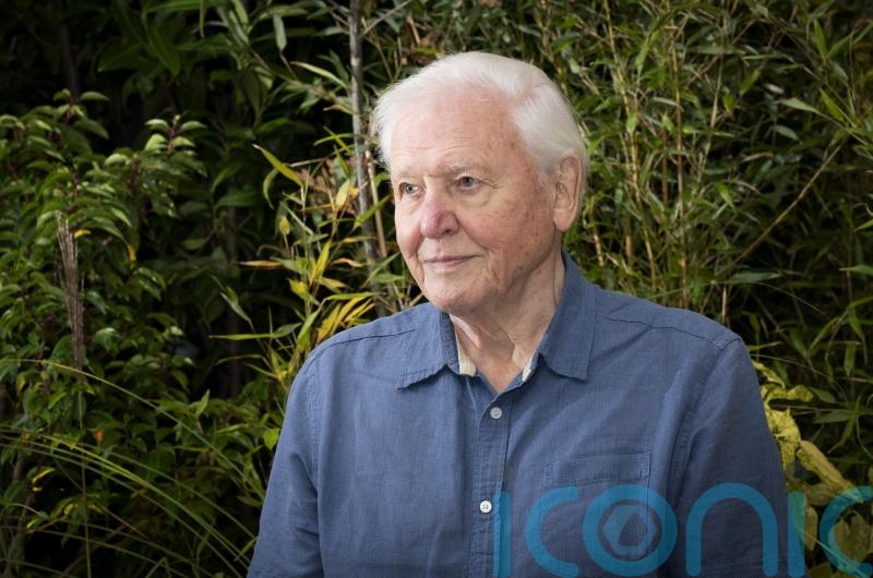 Sir David Attenborough hails ‘revolution’ in global attitudes towards plants