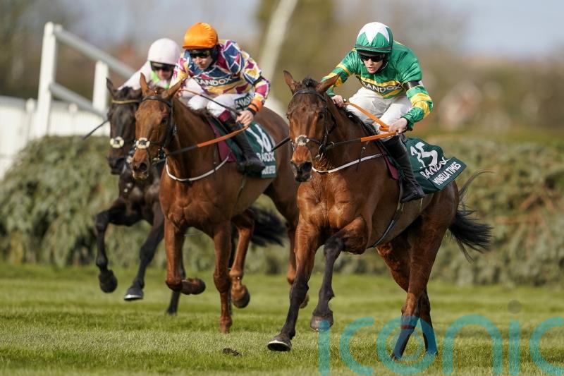 National runner-up Balko Des Flos out for remainder of season