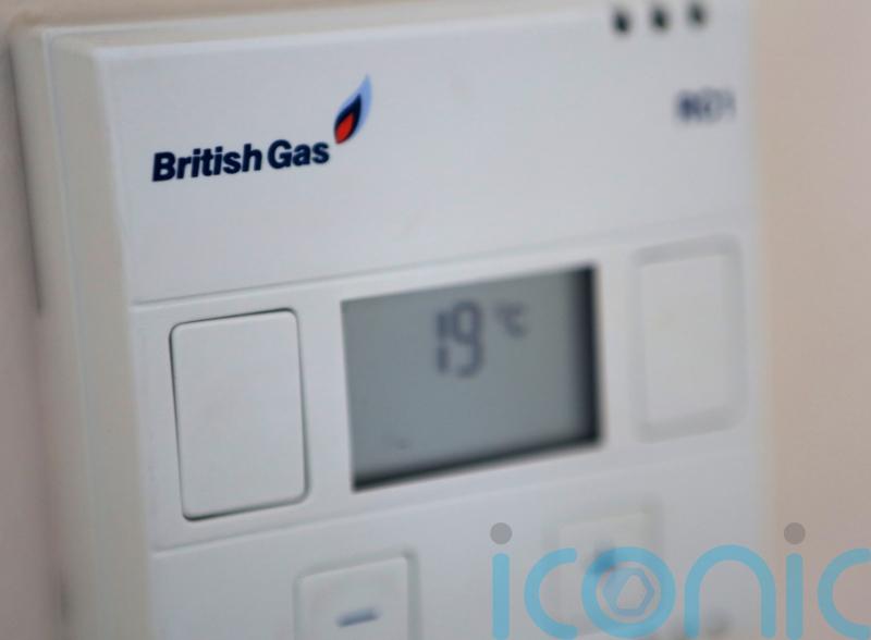 We don’t want a bailout says boss behind British Gas