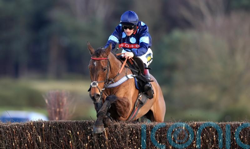 O’Brien full of hope for Final Nudge in veterans’ final