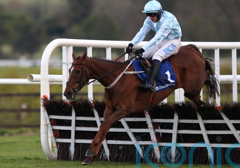 Gauloise following hoofprints of Laurina on Sandown mission