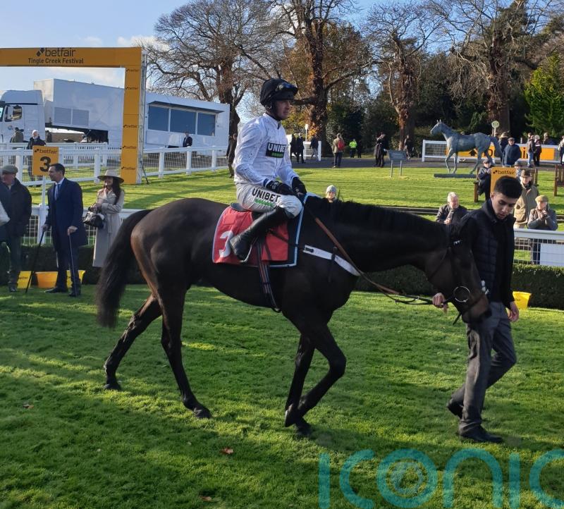 Constitution Hill bidding to back up standout debut performance
