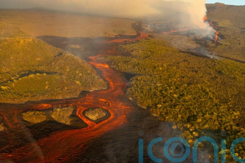 Tallest Galapagos volcano erupts