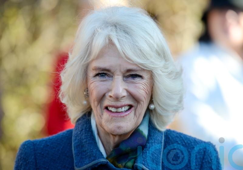 Camilla plays book fairy and leaves publications for people to find