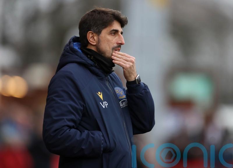 Reading boss Veljko Paunovic without several players for visit of Fulham