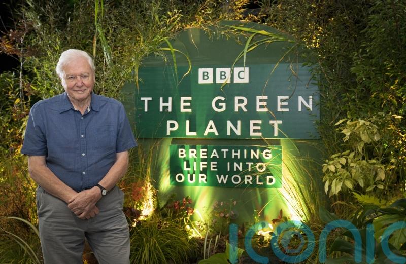 David Attenborough hopes The Green Planet ‘brings home’ importance of plants