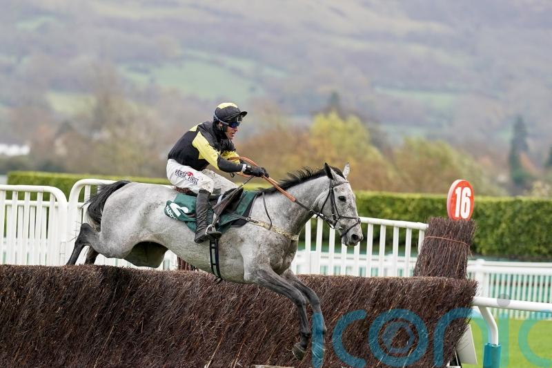 Hopes high for Eldorado Allen in Silviniaco Conti