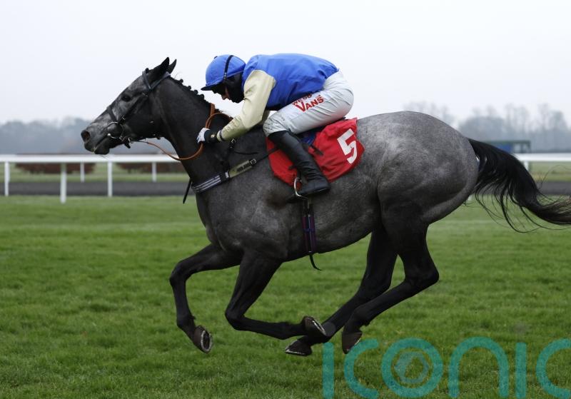 Silver Shade enters Triumph Hurdle reckoning