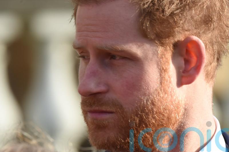 What are judicial review proceedings Harry wants to bring against Home Office?