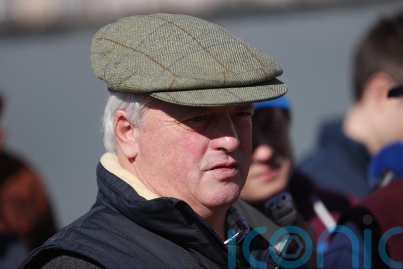 Jpr One in the mix for Betfair Hurdle challenge