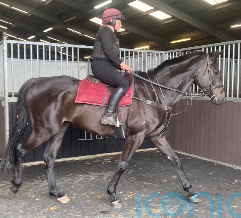 Nicky Martin to bide her time with stable star Bear Ghylls