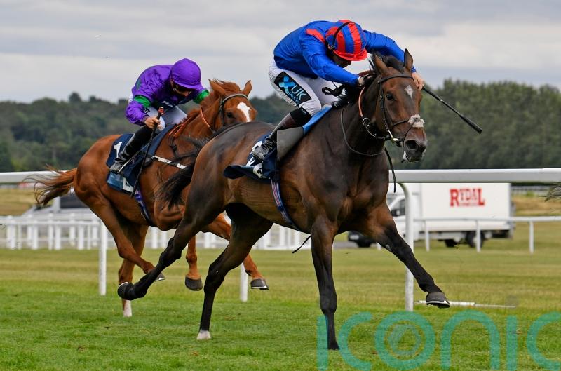 Dubious Affair poised for Meydan return