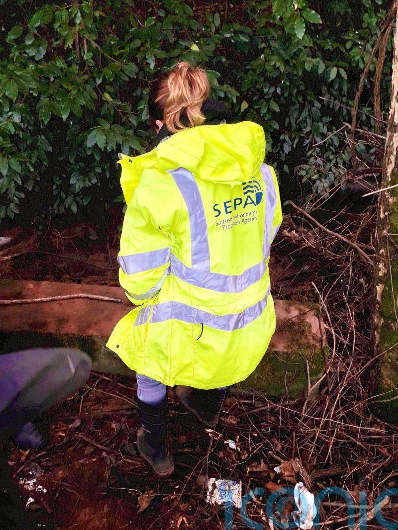 River pollution clean up under way amid concerns for wildlife