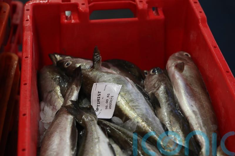Fishermen raise concerns over 17 new offshore wind projects