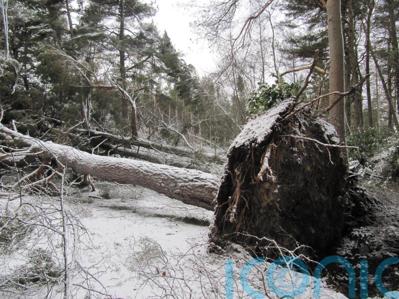 Kwarteng: Storm Arwen response was ‘reasonable’ but long power cuts unacceptable