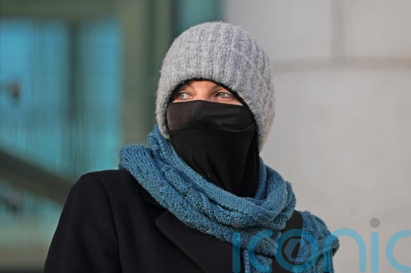 Lisa Smith bid to have terror charges dismissed to continue on Wednesday
