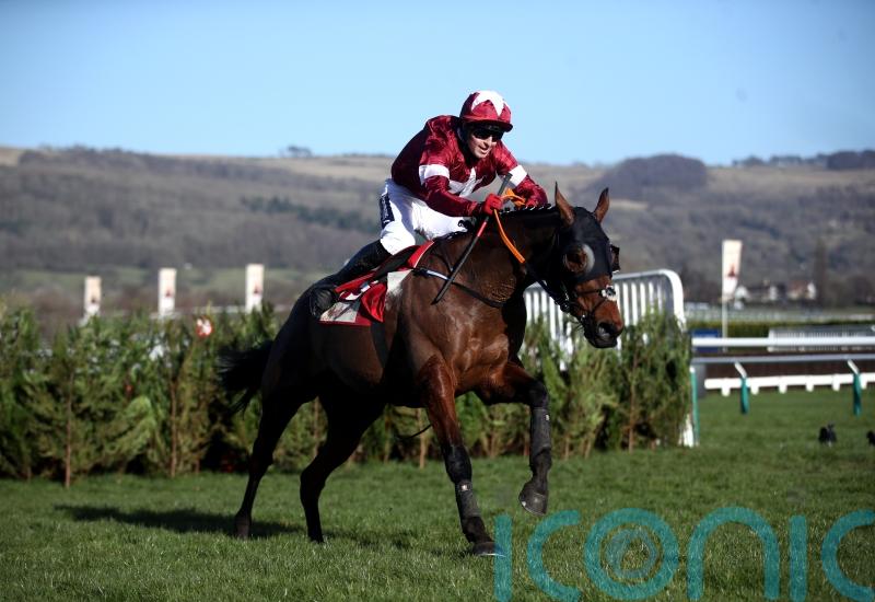 Tiger Roll given entry over hurdles at Navan
