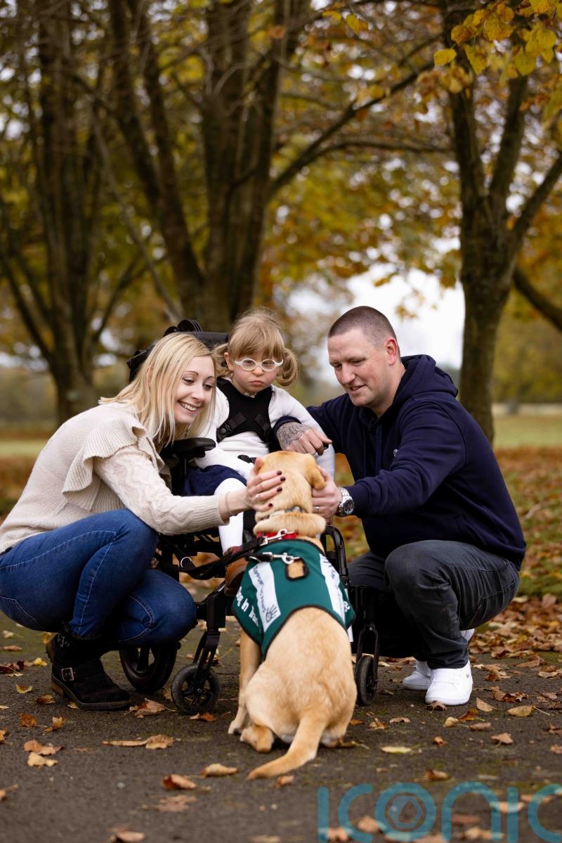 Support dog Merlin has ‘brought magic’ into lives of lottery winners