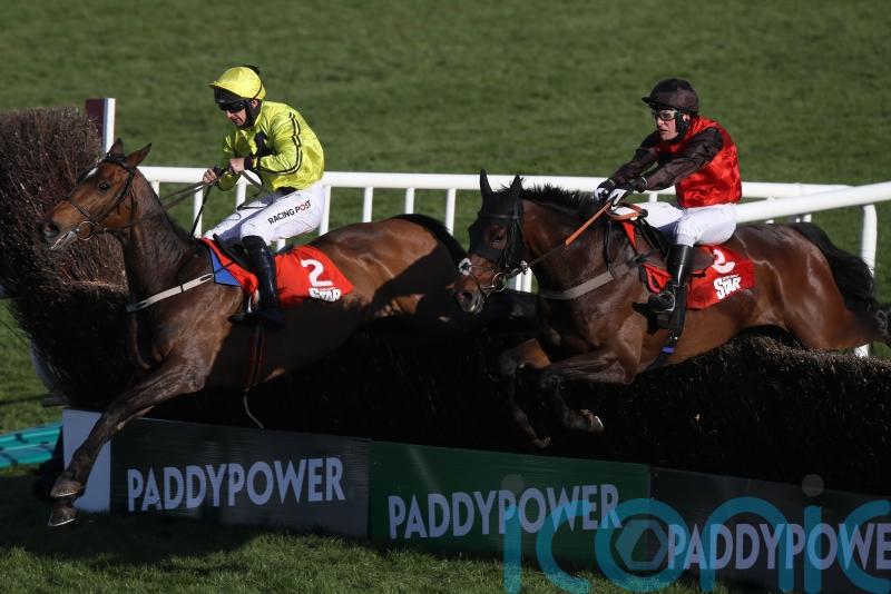 Bob And Co pencilled in for Haydock prep ahead of Cheltenham target