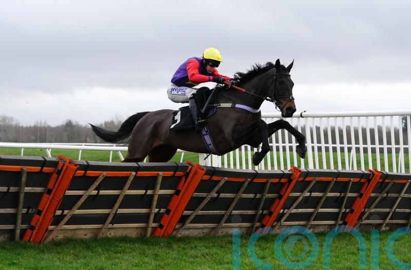 Scott not totally dismissing Lingfield hurdles run for Dashel Drasher
