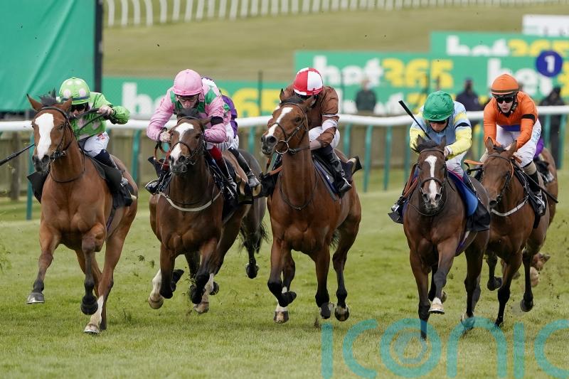 Williams waiting on Classic call for Desert Dreamer