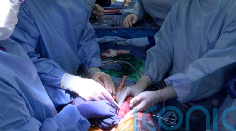 Kidneys from genetically modified pig transplanted into brain dead human