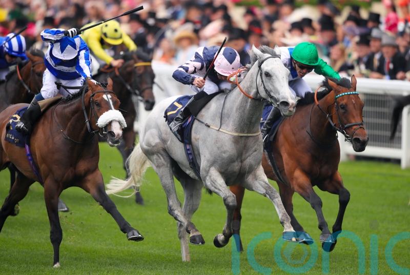 O’Meara looking forward to more Dubai sparkle from Lord Glitters