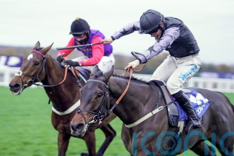 Wonderwall to tune up for Cheltenham in Sidney Banks