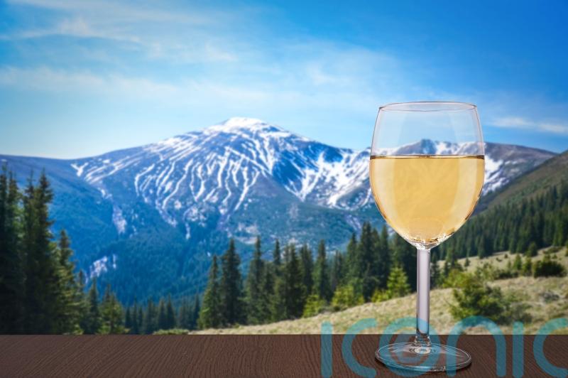 6 stunning winter whites to polish up the palate