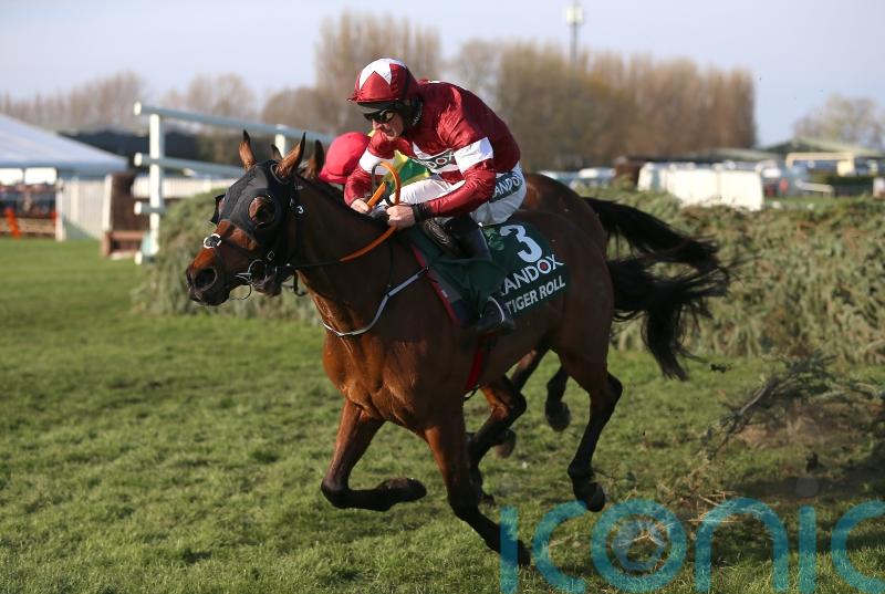 National hero Tiger Roll back over hurdles at Navan