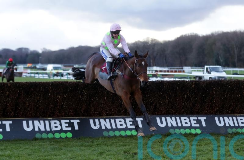 Royal Pagaille eyeing Peter Marsh repeat