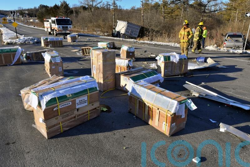 Monkeys missing after lab transport truck crashes