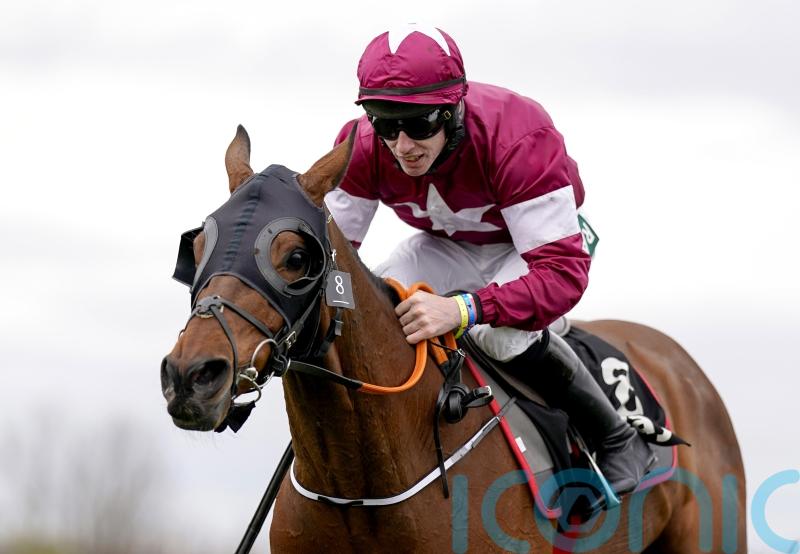Tiger Roll finishes down the field at Navan