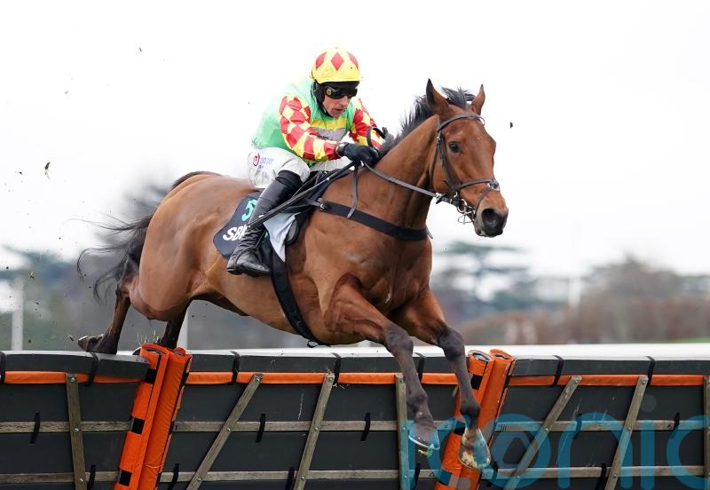 Doctor Parnassus enters Triumph Hurdle equation