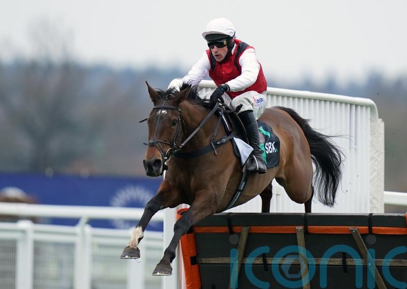 Decision to stick with ‘Plan A’ pays off with Molly Ollys Wishes