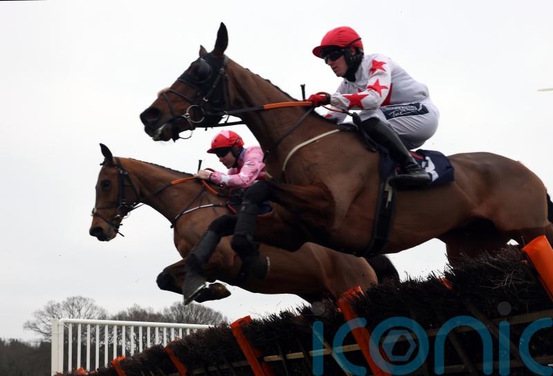Brewin’upastorm rallies to pick up Lingfield prize