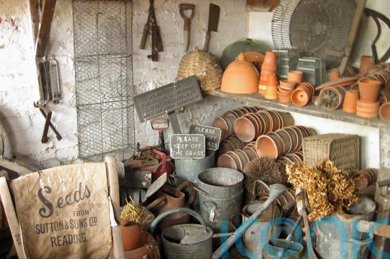 How to declutter your garden shed in 5 easy steps