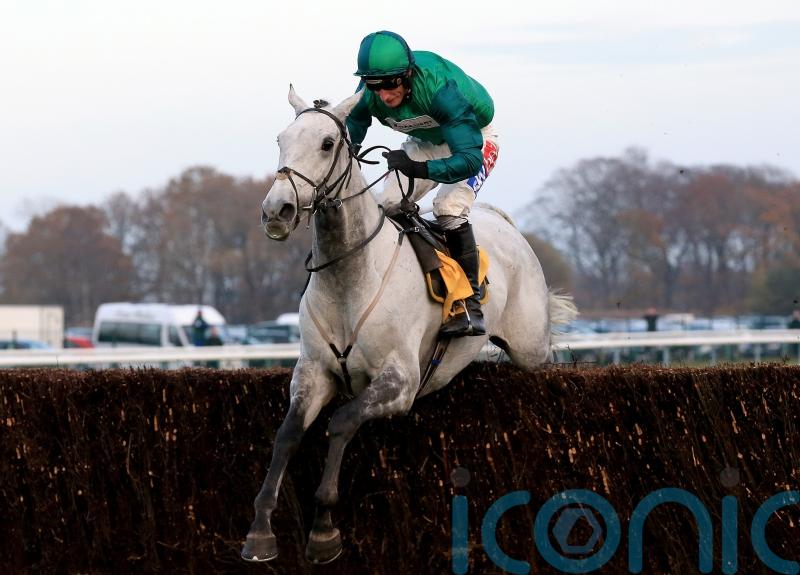 No rush to make plans for Bristol De Mai after gallant Lingfield effort