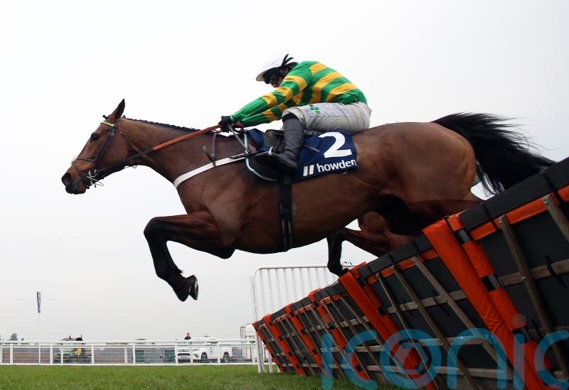 Champ goes on trial for Cheltenham this weekend