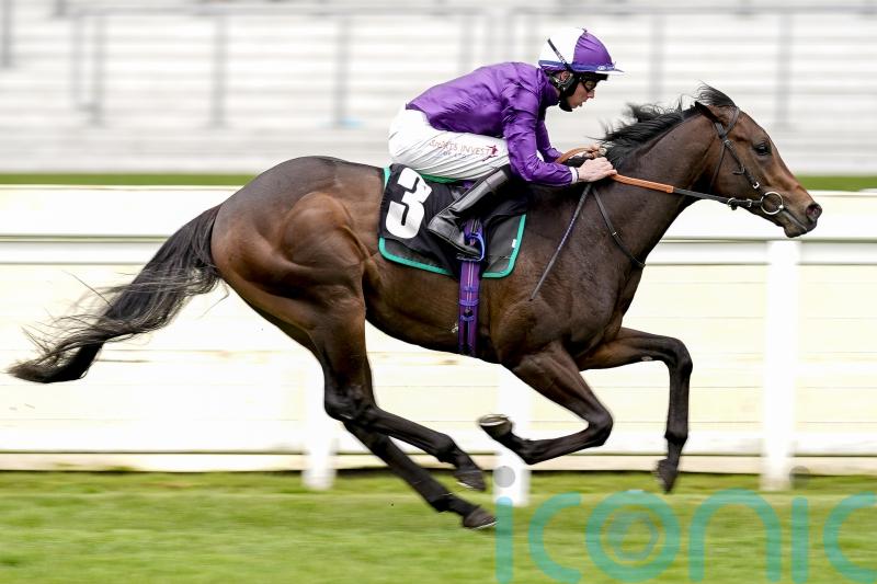 Loughnane mapping out big-race targets for star juveniles