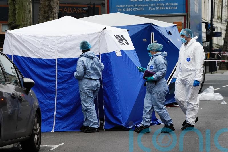 Woman stabbed to death and her attacker hit by car and killed