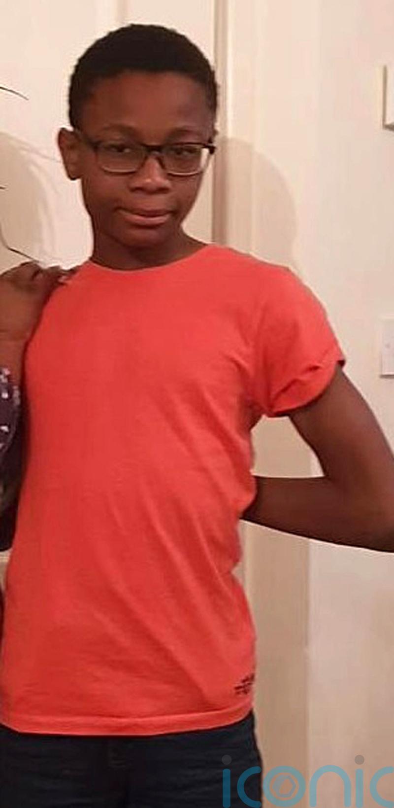 Mother of boy who drowned loses High Court fight over decision not to prosecute