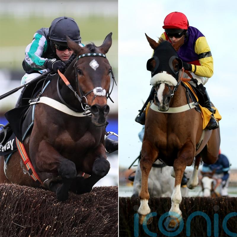 Altior and Native River to parade at Newbury