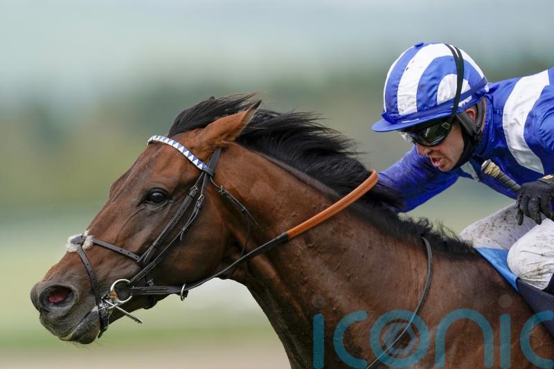 Hukum building up towards Sheema Classic assignment