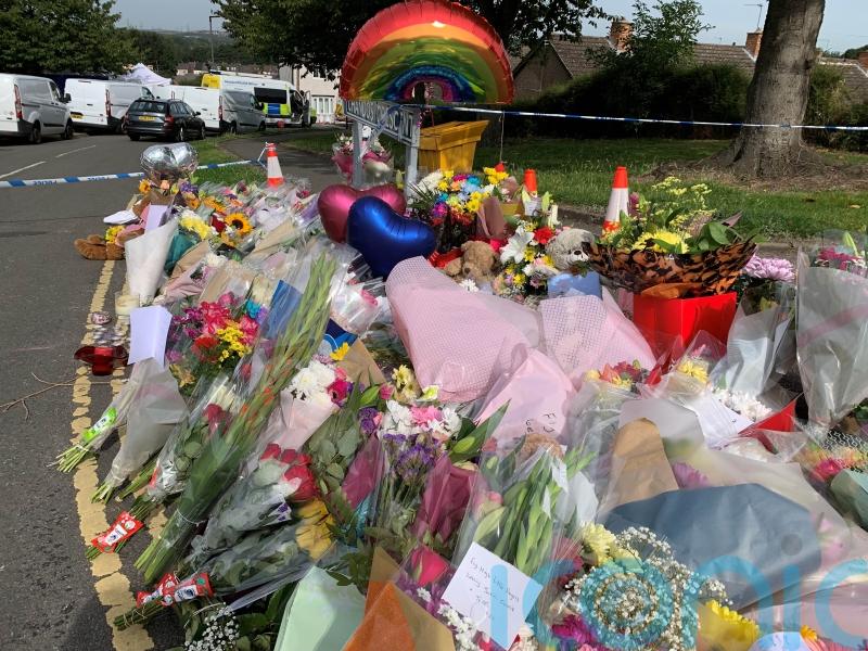 Murder suspect caused deaths of mother and three children, court told