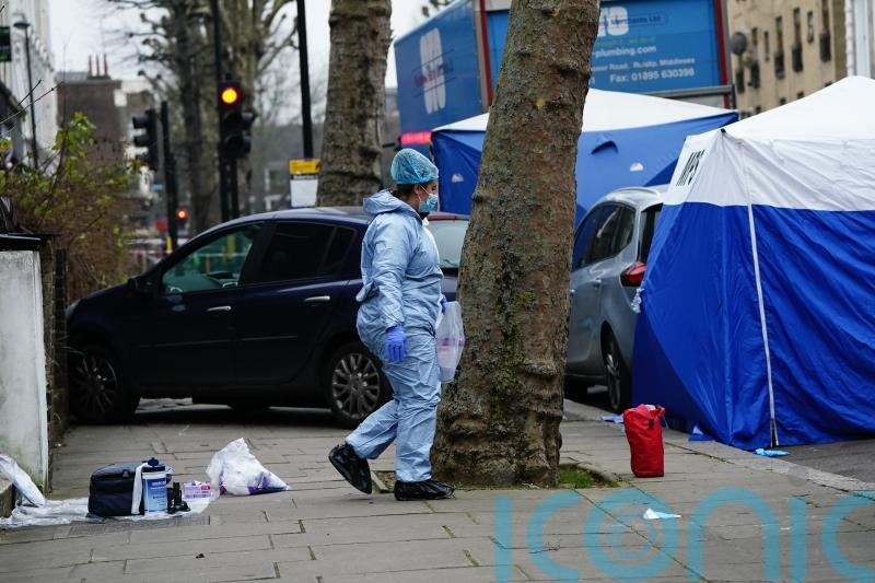 Thousands sign petition supporting driver who hit knife attacker