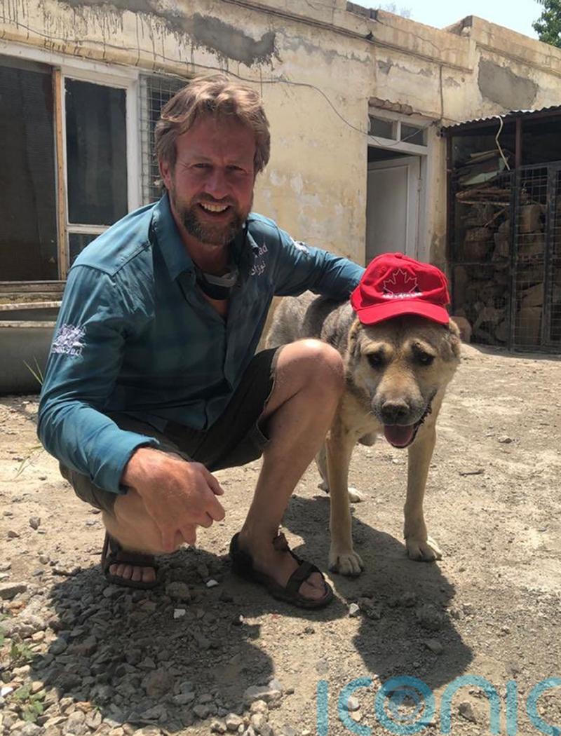 Johnson says suggestion he intervened in animal airlift is ‘total rhubarb’