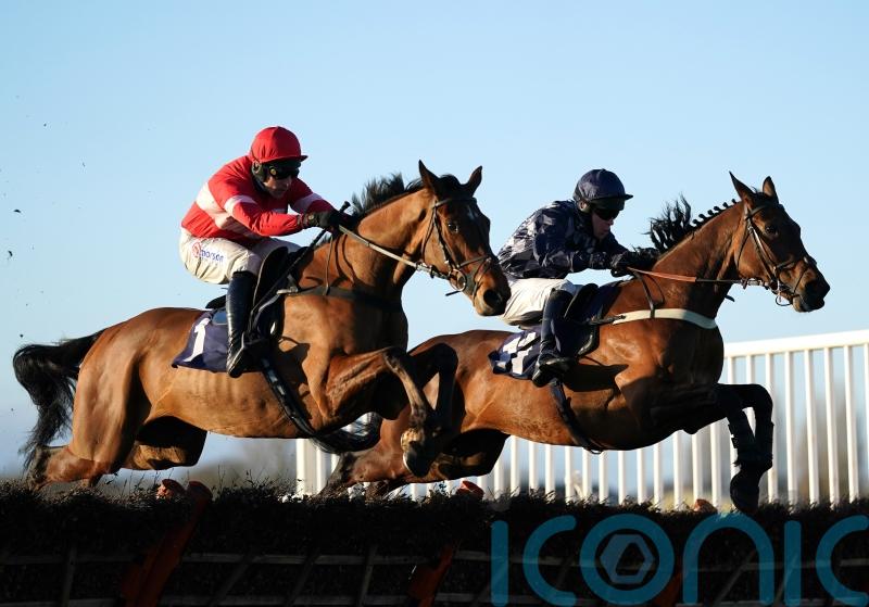 Skelton has plenty to look forward to with Sholokjack