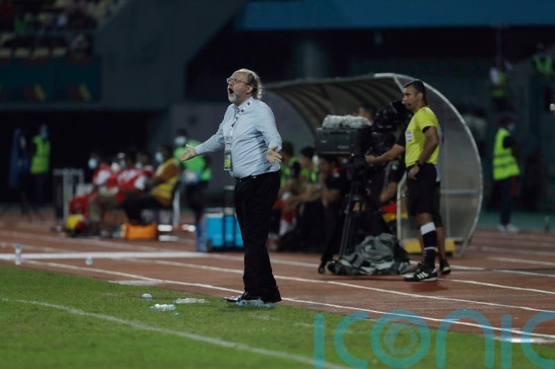 Tom Saintfiet wants Gambia to keep dream run going against hosts Cameroon